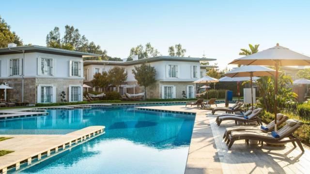 cornelia auf hohem Standard